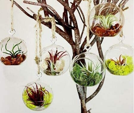 Vintage Footed Glass Cookie Jar - Image 2